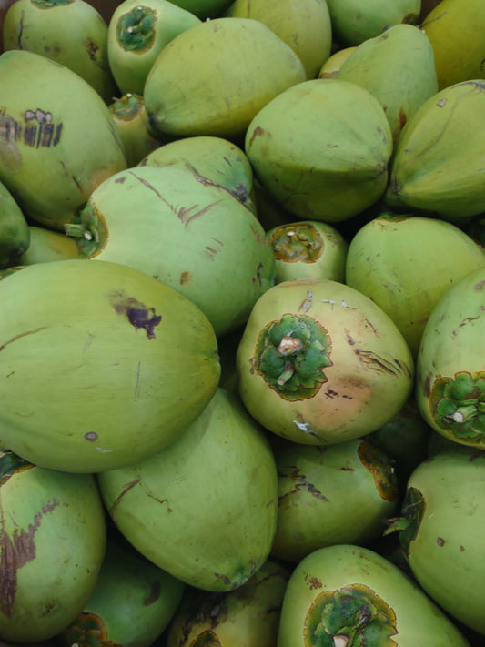 * Fresh Young Drinking Coconuts Brisbane Delivery *