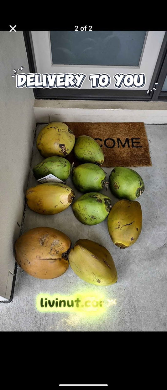 * Fresh Young Drinking Coconuts Brisbane Delivery *