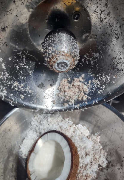 Electric Coconut Grater Australia