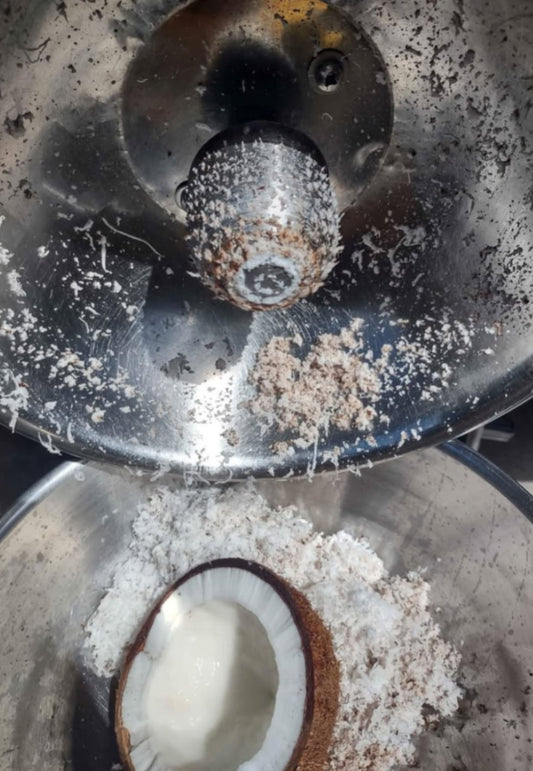 Electric Coconut Grater Australia