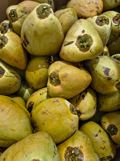 * Fresh Young Drinking Coconuts Brisbane Delivery *