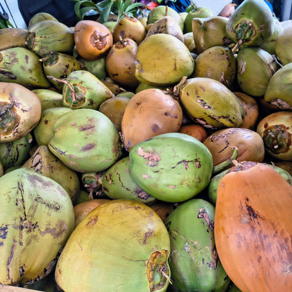 * Fresh Young Drinking Coconuts Brisbane Delivery *